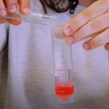 Imatge del recurs: Taller d'extracció de l'ADN d'una maduixa i entrevista a Gemma Carreras (Programa TV "DONA'm Ciència")