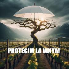 Imatge del recurs: AL MAL TEMPS, BON STEAM! Protegim la vinya!